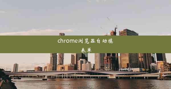 chrome浏览器自动填表单