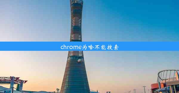 chrome为啥不能搜索