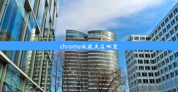 chrome收藏夹在哪里