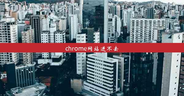 chrome网站进不去