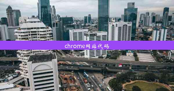 chrome网站代码