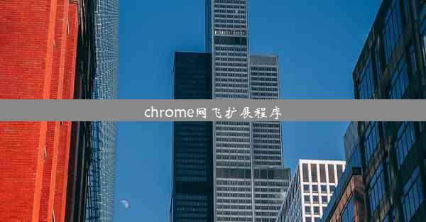 chrome网飞扩展程序