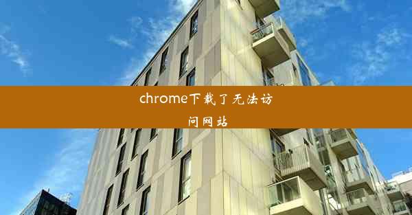 chrome下载了无法访问网站