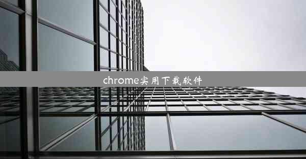 chrome实用下载软件