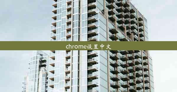 chrome设置中文