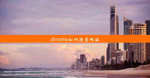 chrome如何搜索网址