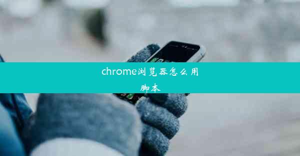 chrome浏览器怎么用脚本