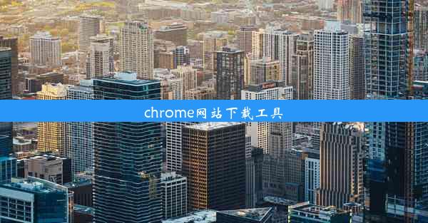 chrome网站下载工具