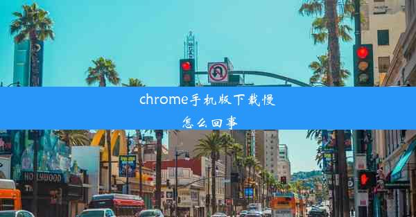 chrome手机版下载慢怎么回事