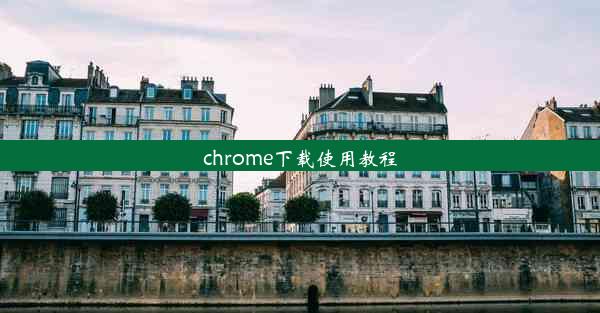 chrome下载使用教程