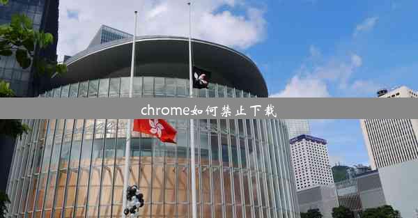 chrome如何禁止下载