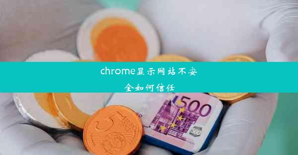 chrome显示网站不安全如何信任