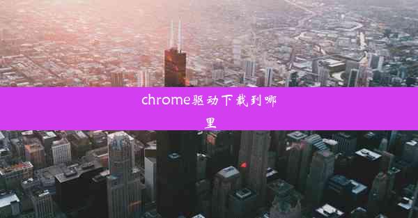 chrome驱动下载到哪里