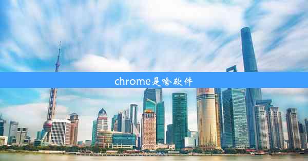 chrome是啥软件