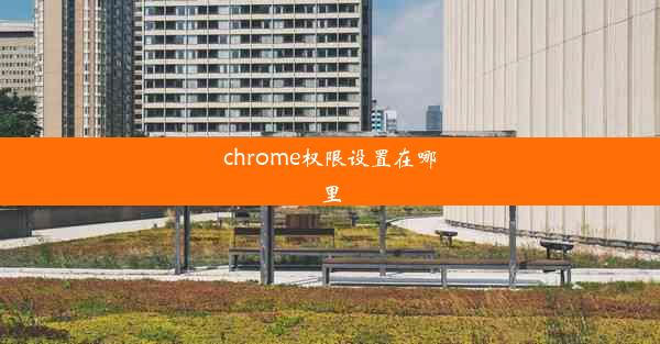 chrome权限设置在哪里