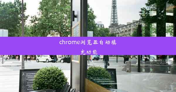 chrome浏览器自动填充功能