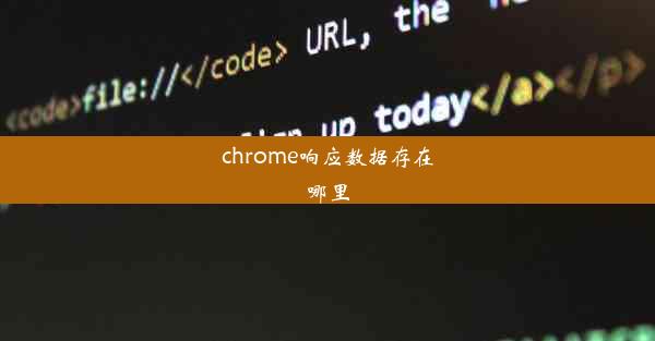 chrome响应数据存在哪里