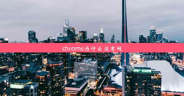 chrome为什么没有网