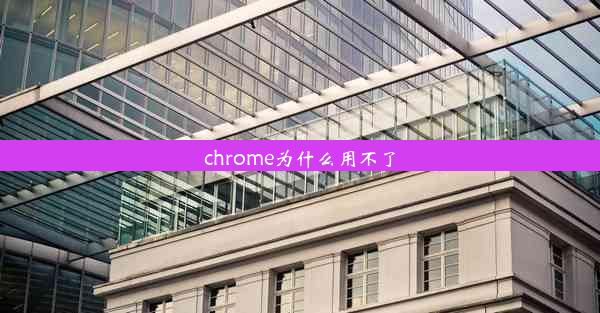 chrome为什么用不了