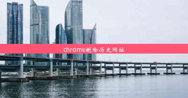 chrome删除历史网址