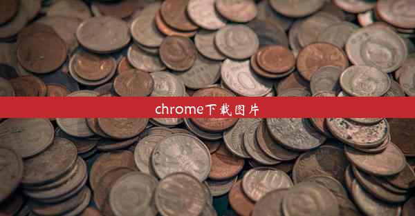 chrome下载图片