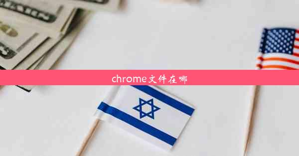 chrome文件在哪