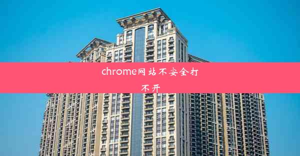 chrome网站不安全打不开