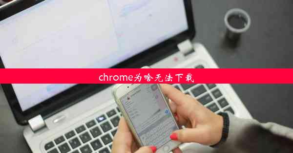 chrome为啥无法下载