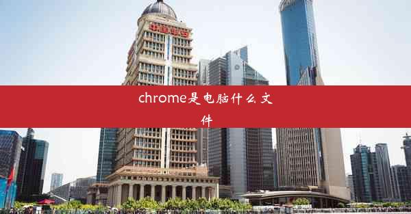 chrome是电脑什么文件