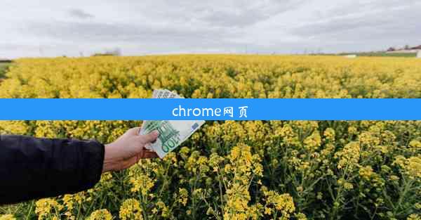 chrome网页