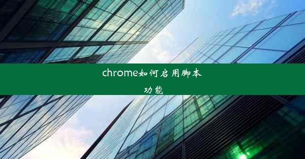 chrome如何启用脚本功能