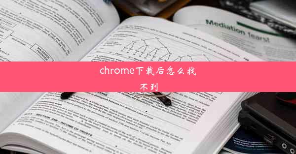 chrome下载后怎么找不到