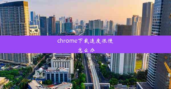 chrome下载速度很慢怎么办