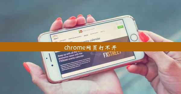 chrome网页打不开