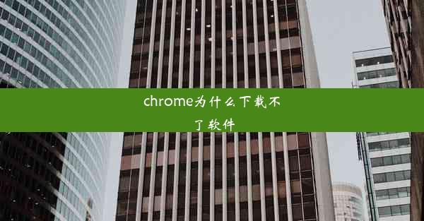 chrome为什么下载不了软件