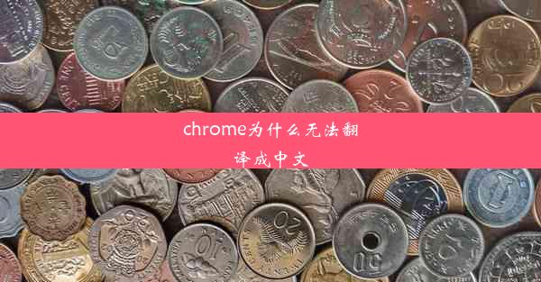 chrome为什么无法翻译成中文