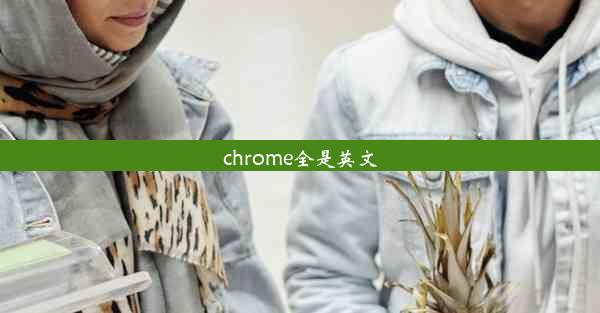 chrome全是英文