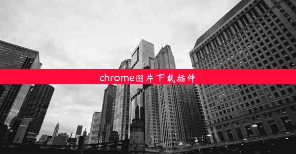 chrome图片下载插件