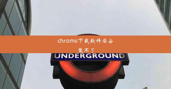 chrome下载软件后安装不了