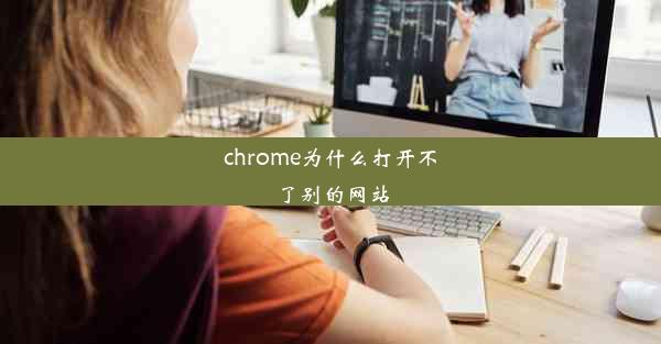 chrome为什么打开不了别的网站