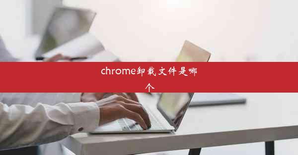 chrome卸载文件是哪个