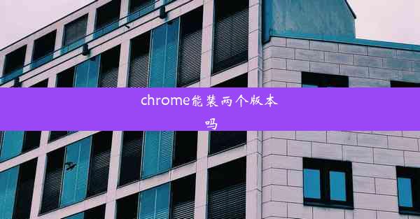 chrome能装两个版本吗