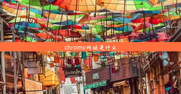 chrome网址是什么