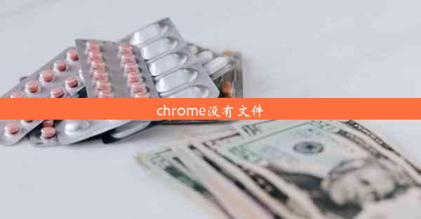 chrome没有文件