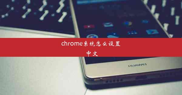 chrome系统怎么设置中文