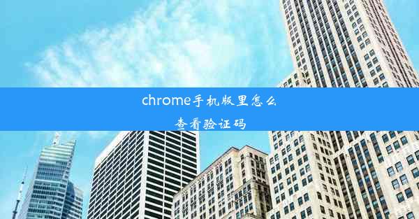 chrome手机版里怎么查看验证码