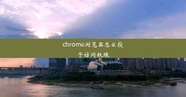 chrome浏览器怎么授予访问权限