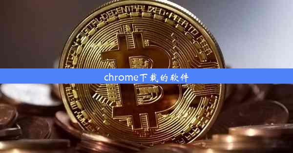 chrome下载的软件