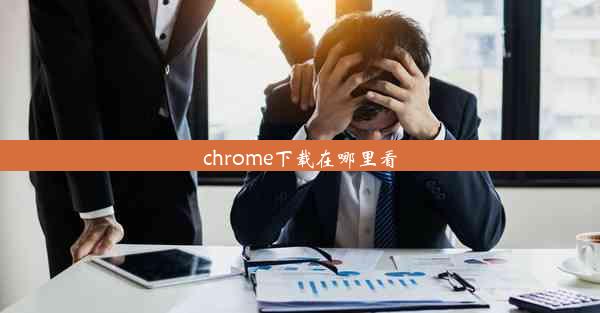 chrome下载在哪里看