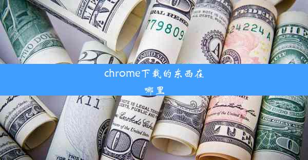 chrome下载的东西在哪里